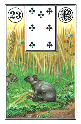 El Ratón